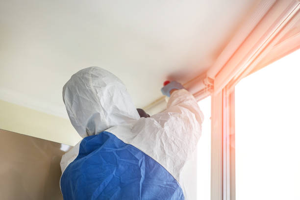 Best Forensic Mold Investigation  in New Sarpy, LA