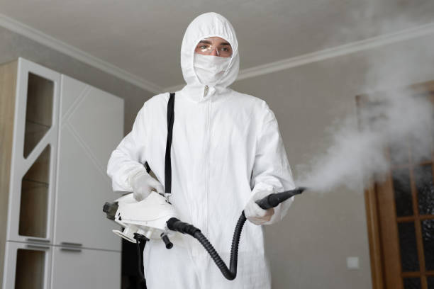  New Sarpy, LA Mold Removal & Remediation Pros